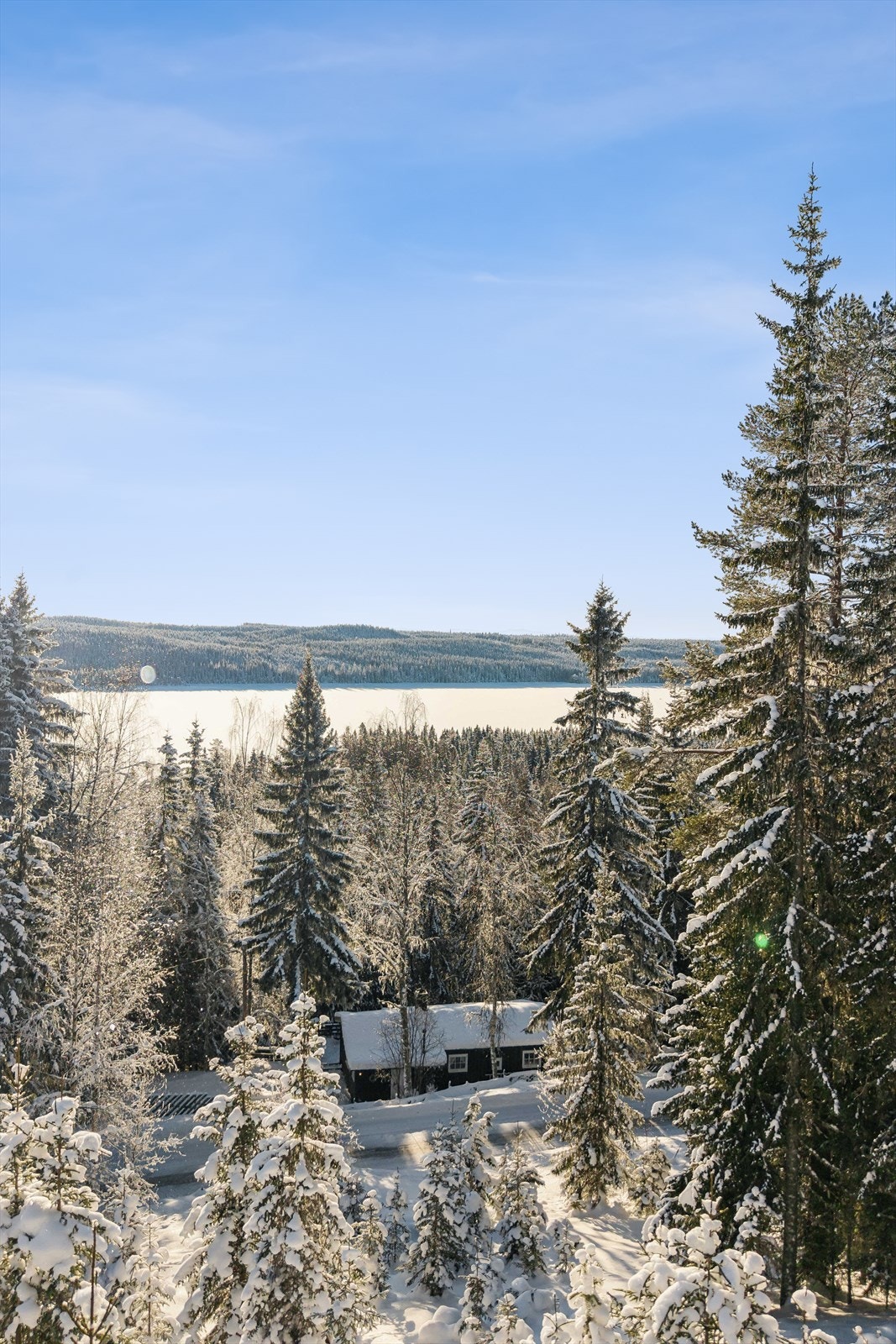 Eiendommen ligger usjenert til i et etablert hytteområde, omkranset av skog. Galleribilde