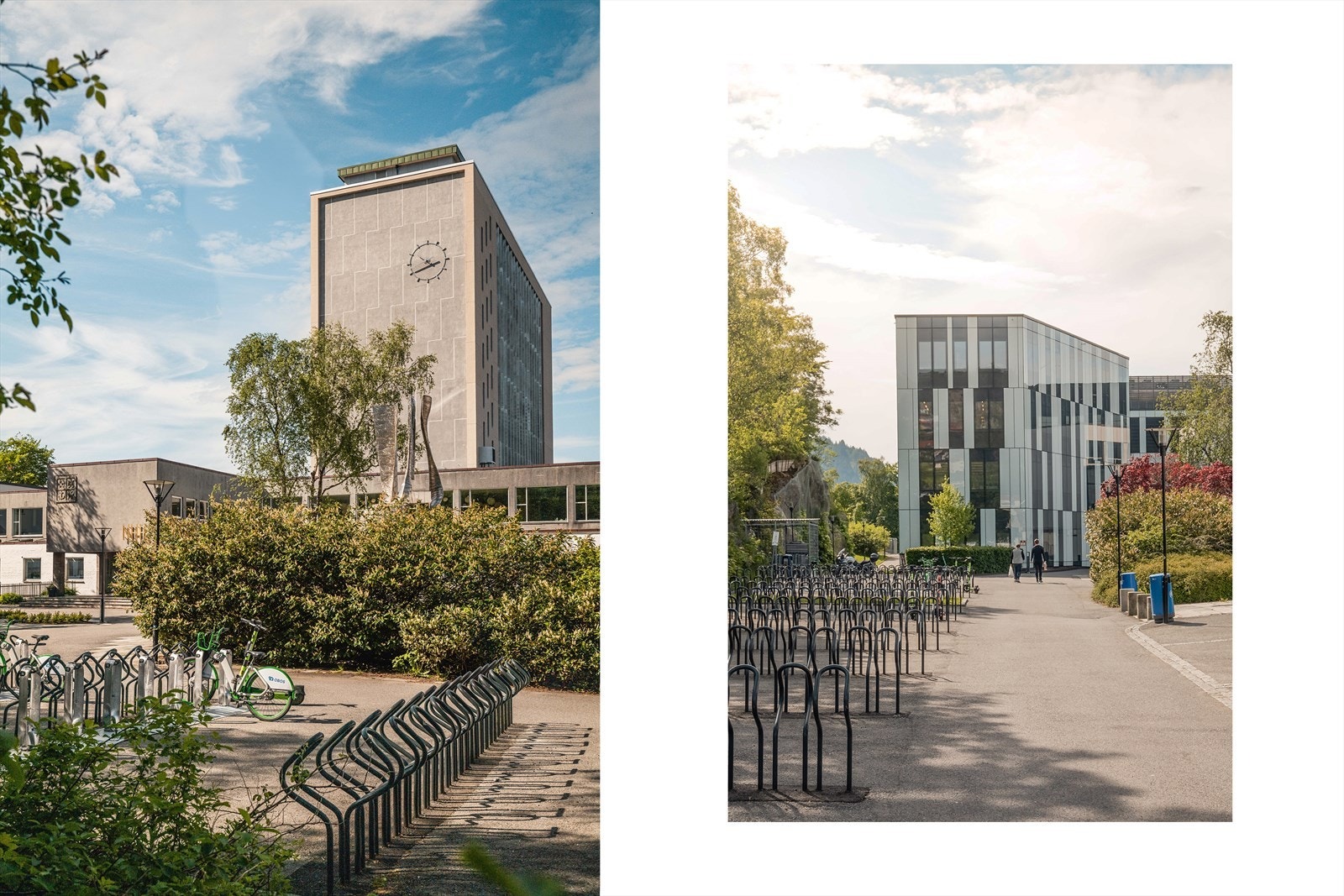 Det er kort vei til NHH. Galleribilde