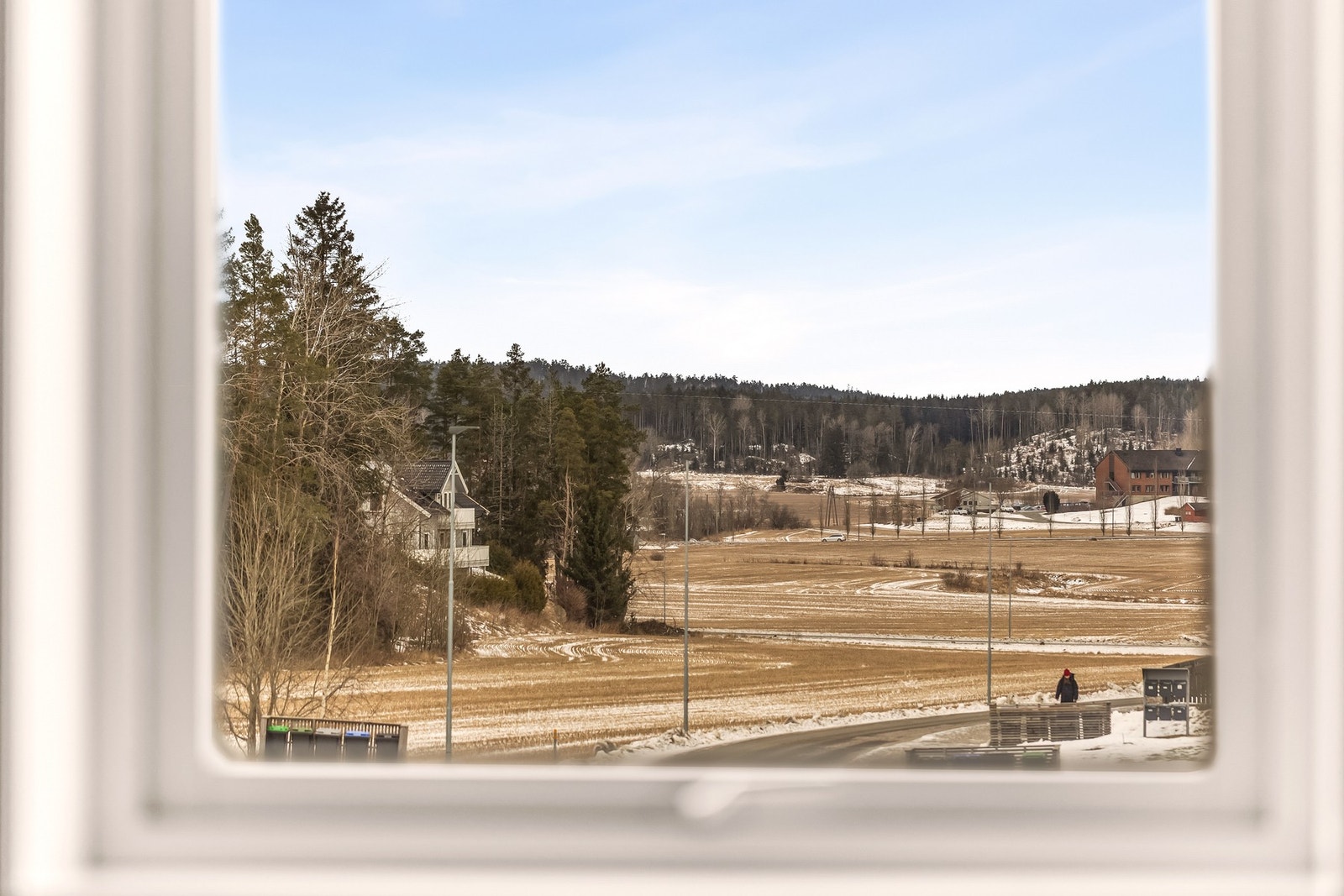 Flott utsyn mot det frodige nærområdet Galleribilde