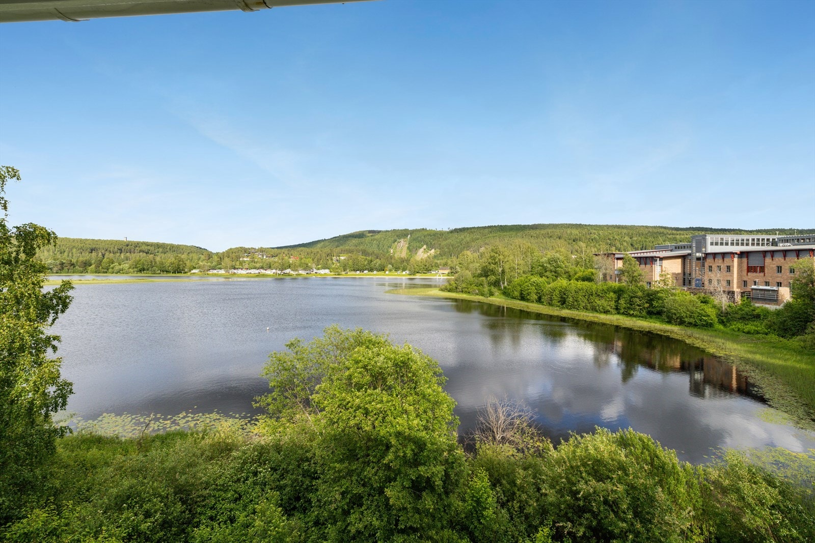 Sommerbilde. Galleribilde