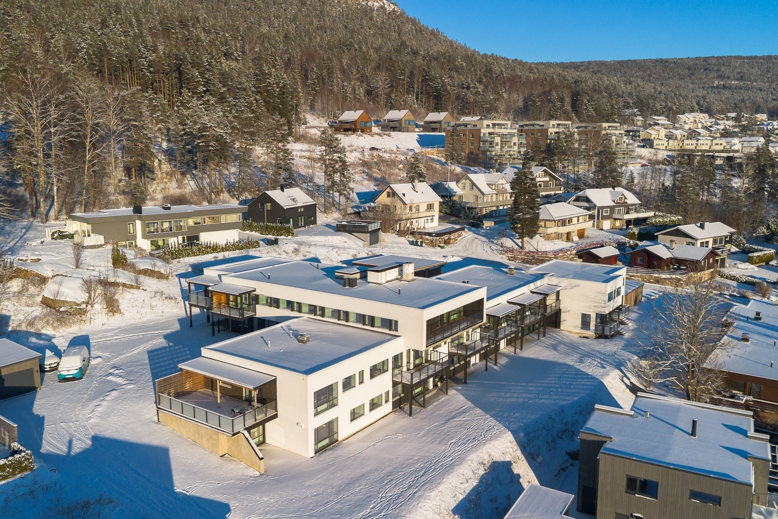 En stor flott fellestomt med skogen rett i ryggen Galleribilde
