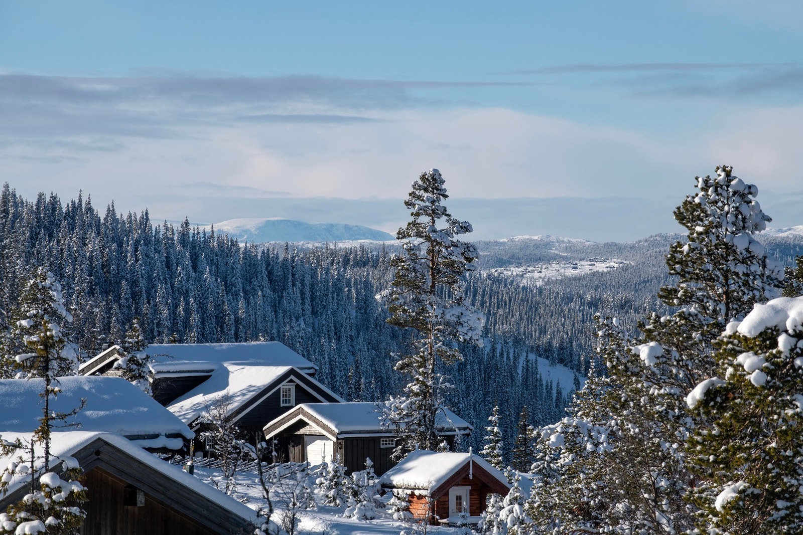 Utsikt bilde av Hallingskarvet. Galleribilde