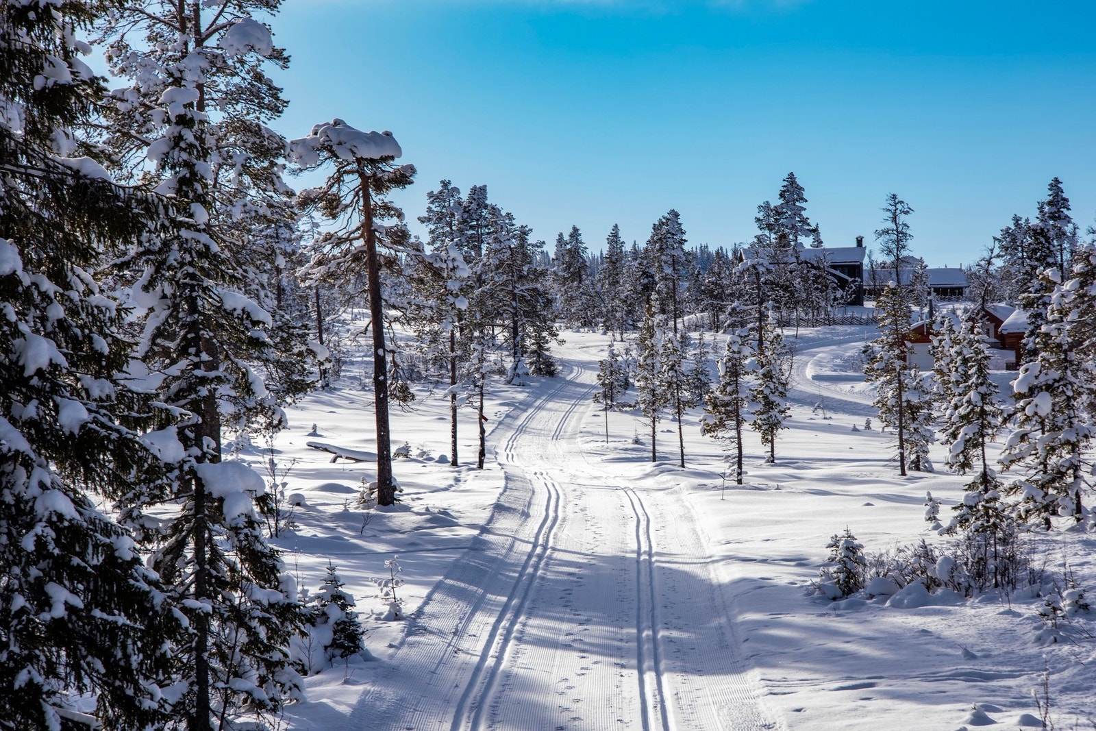 Løypene mot snaufjellet starter 200 meter fra hytta. Galleribilde