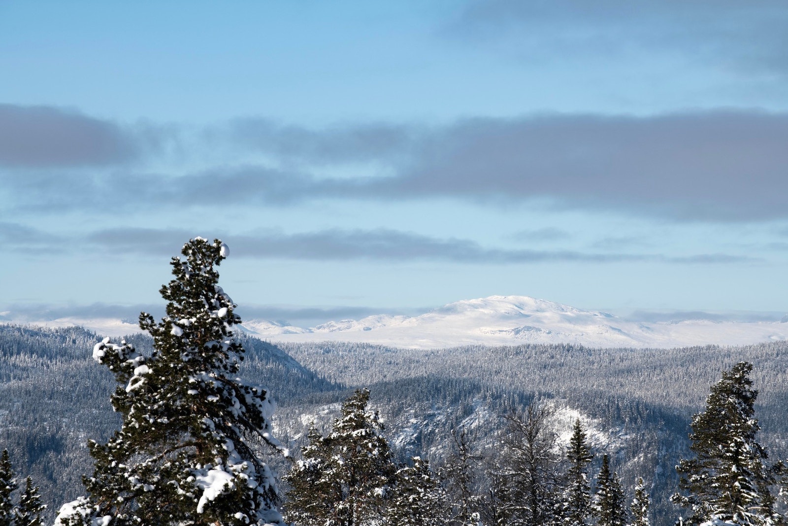 Utsikt over Ålsfjellene. Galleribilde