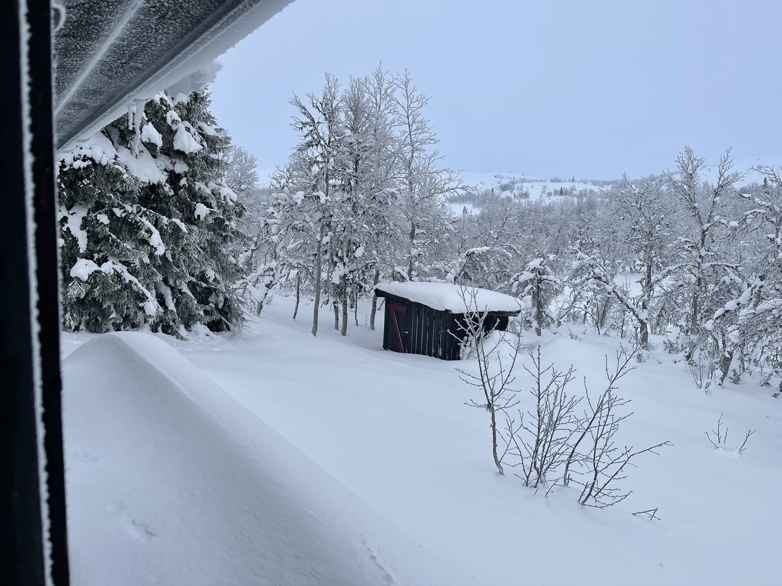 Velkommen på visning! Galleribilde