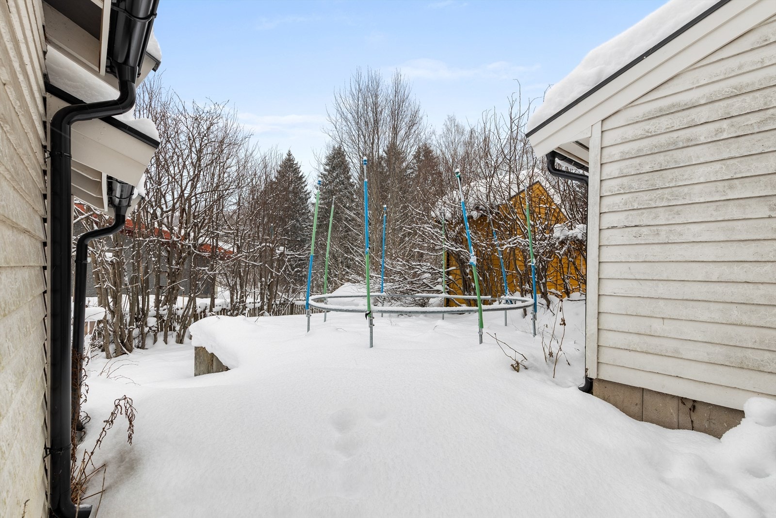 Hage på baksiden av boligen Galleribilde