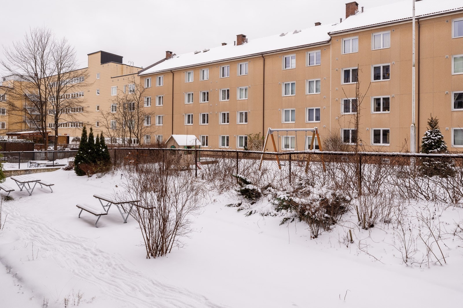 Hyggelig felles bakgård! Galleribilde