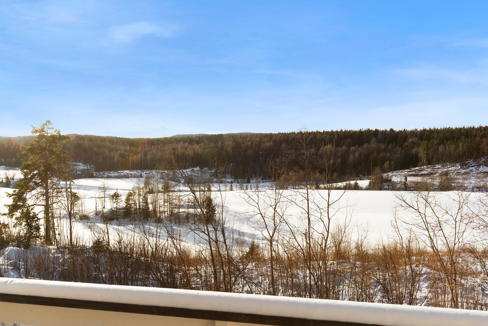 Utsikt fra balkongen Galleribilde