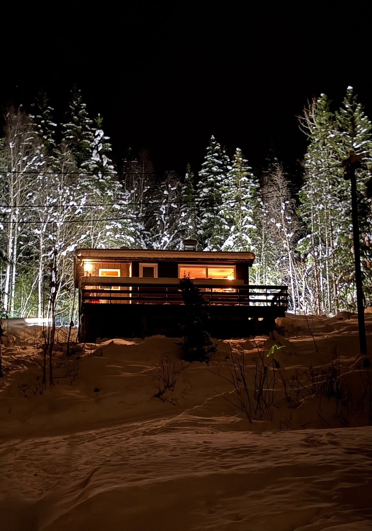 Velkommen på visning! Galleribilde