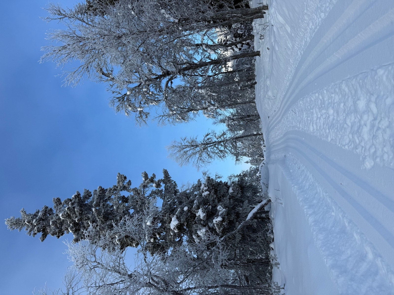 Fra hytta er det kun ca. 10 minutter å kjøre til flotte langrennsløyper. Galleribilde