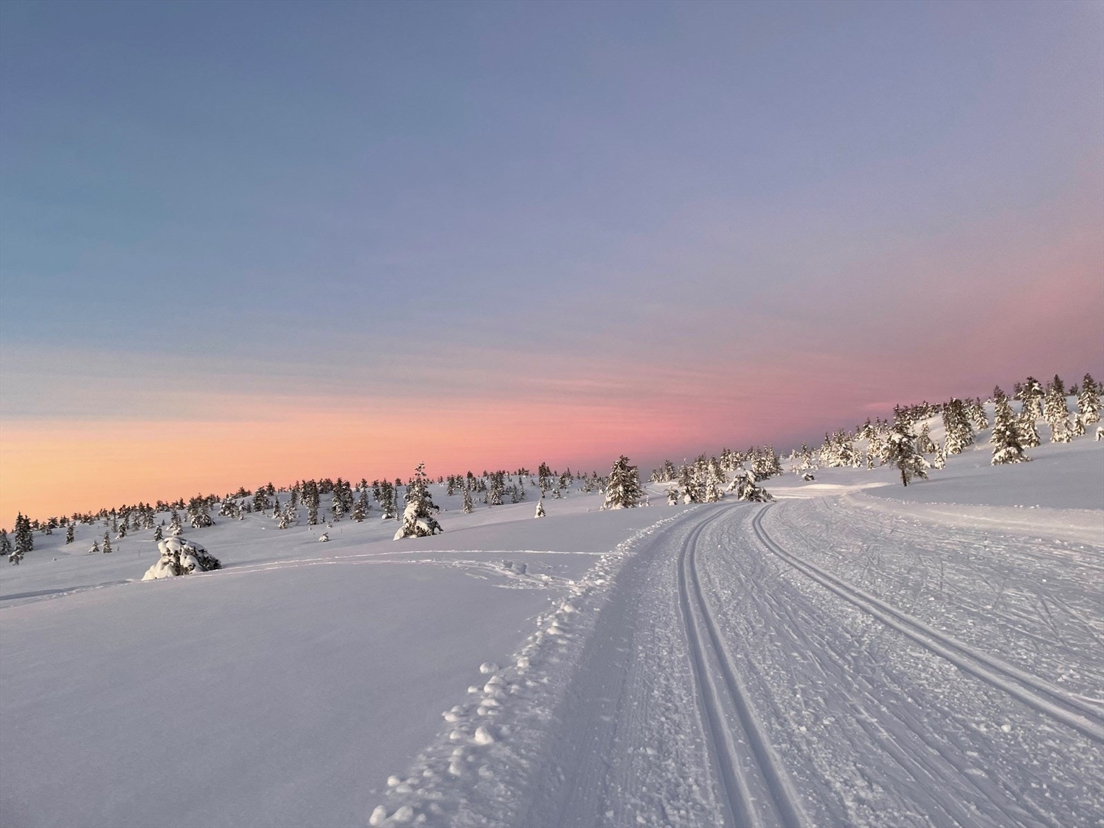 Selgers egne bilder Galleribilde