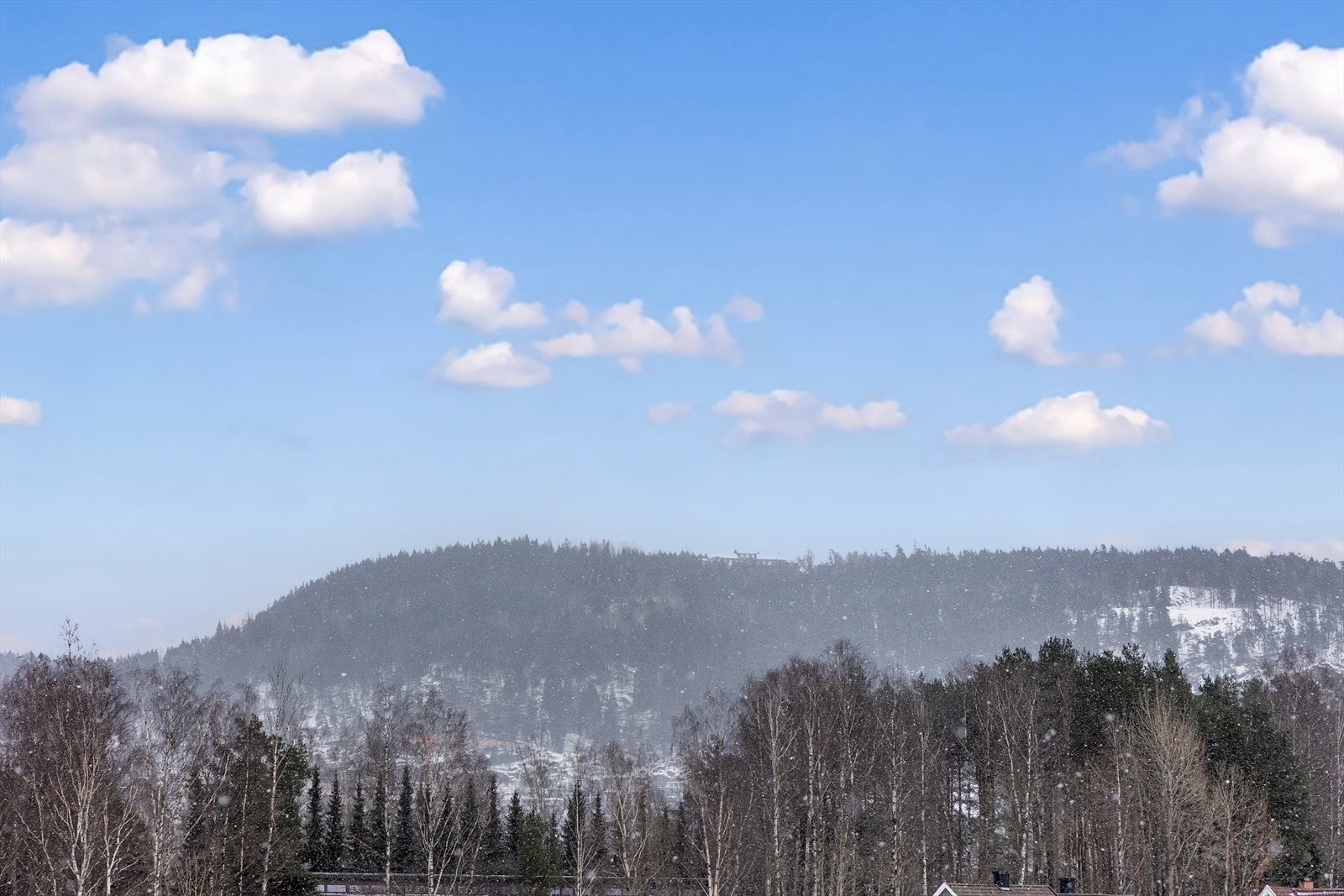 Nærliggende skogsområder gir en grønn utsikt. Galleribilde