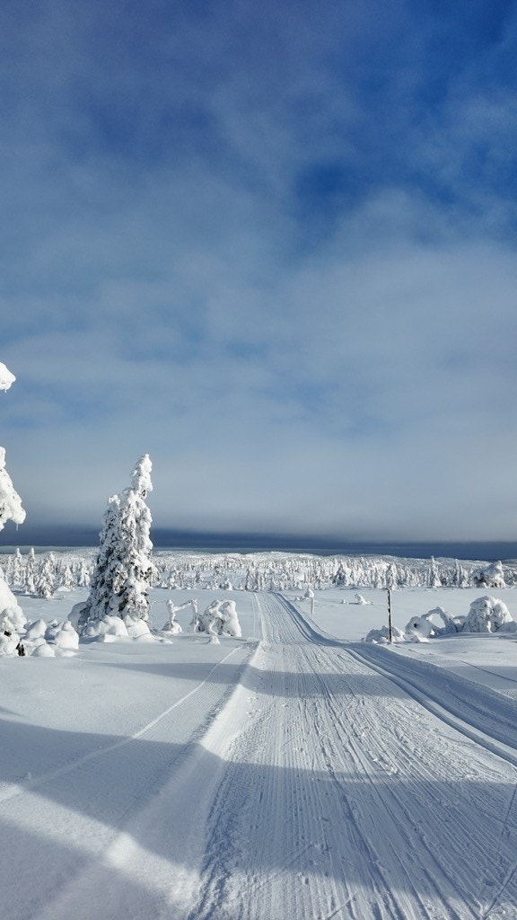 Selgers private bilde Galleribilde