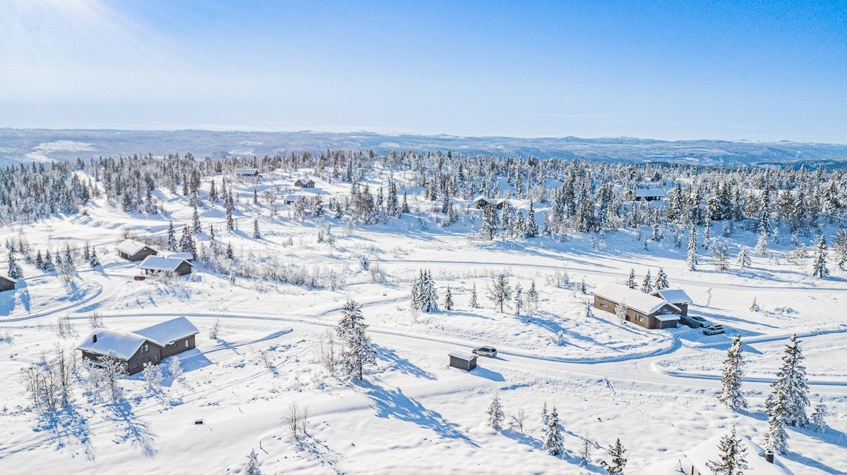 Ubebygd tomt i flott hytteområde på Torpoåsen i Ål kommune Galleribilde