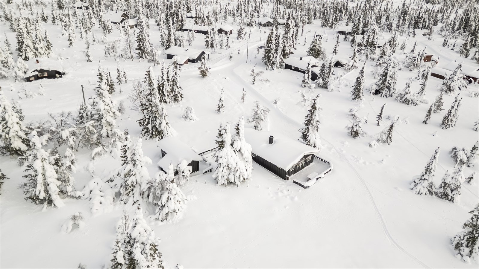 Hytta ligger fint og usjenert til. Galleribilde