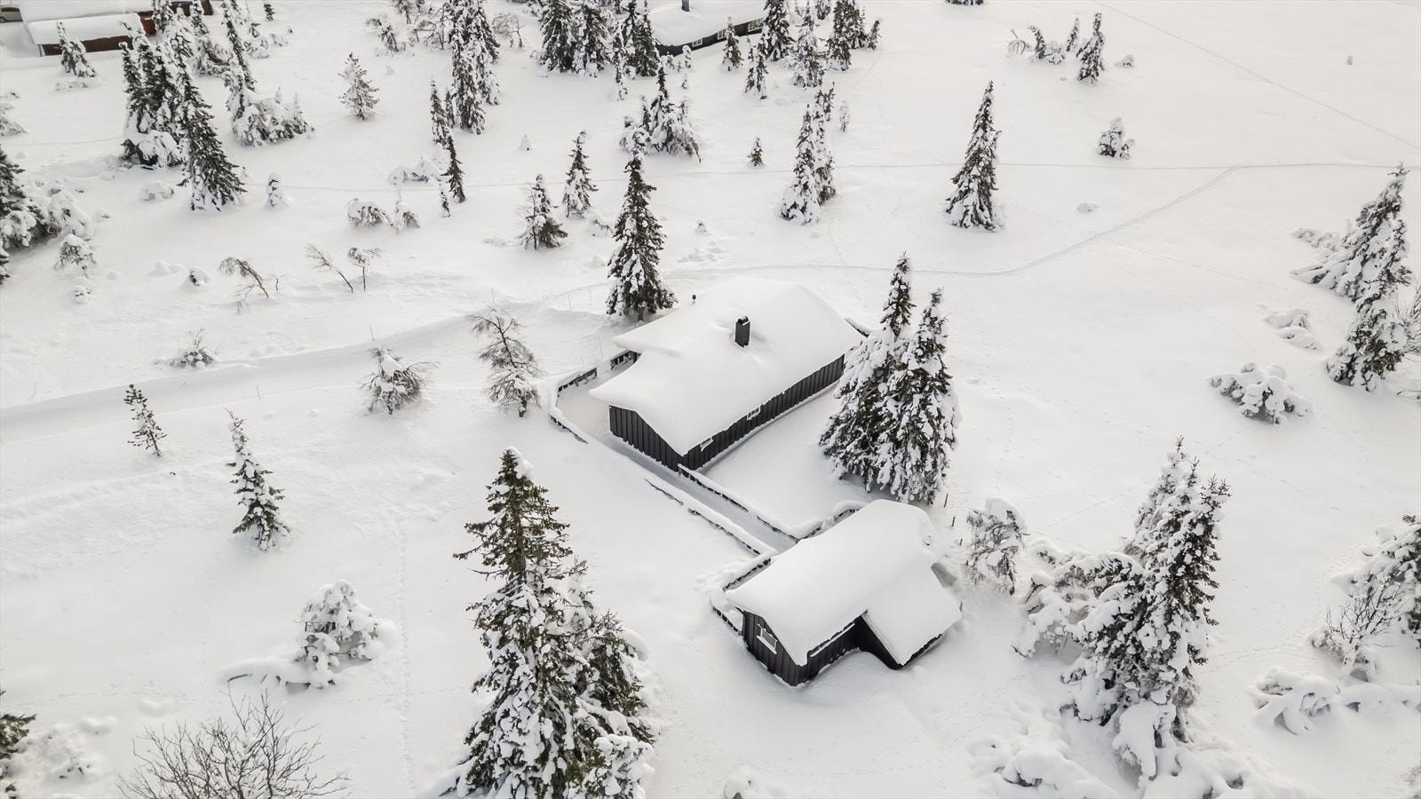 Skiløyper så nær at man kan gå fra hytta. Galleribilde
