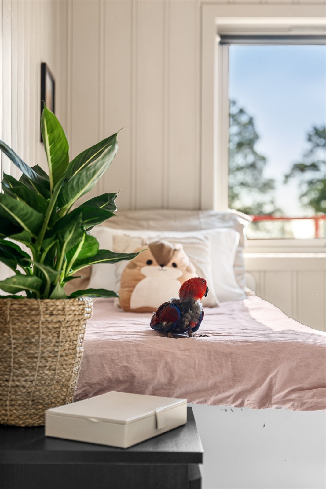 Soverom 2 egner seg godt som barnerom, gjesterom eller kontor. Galleribilde