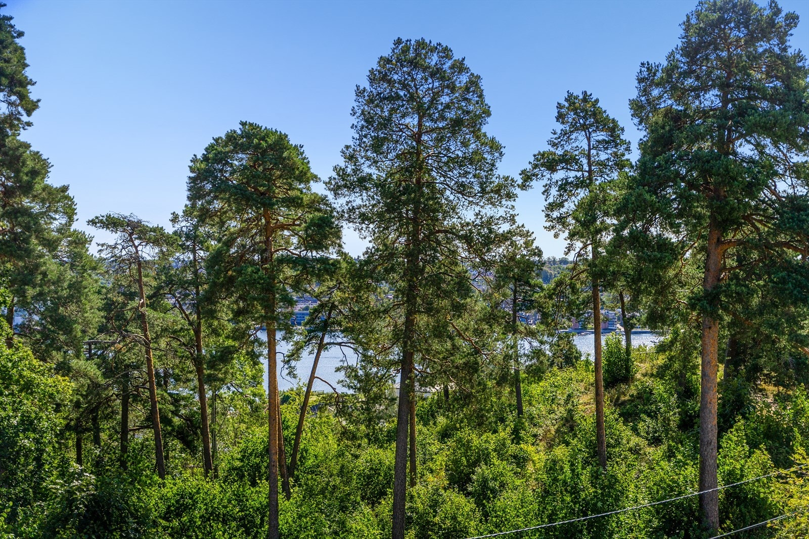 Utsikt fra balkongen. Galleribilde