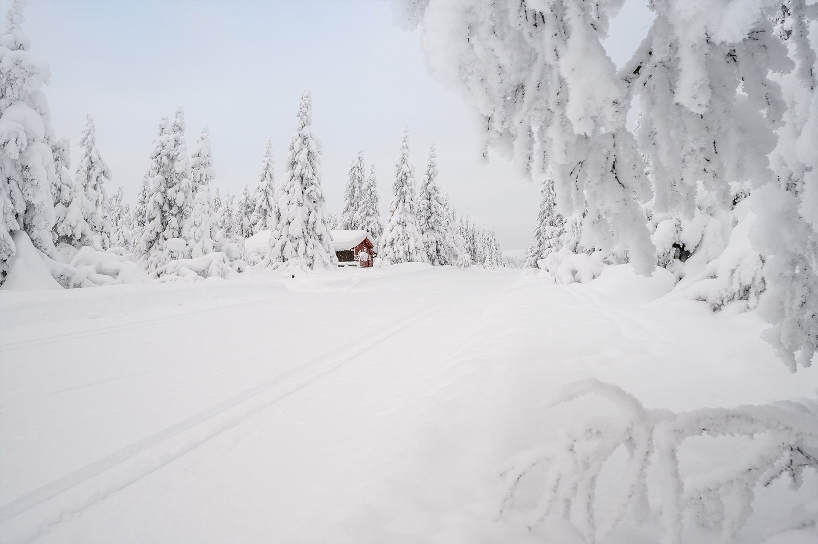 Hytta har en usjenert og flott beliggenhet, blant vakker natur som gir turglede både sommer som vinter. Galleribilde