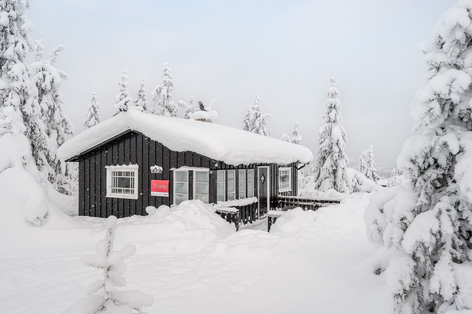 Velkommen til det vakre skieldoradoet Budor og Målivegen 275! Fotograf: Reidar Valberg. Galleribilde