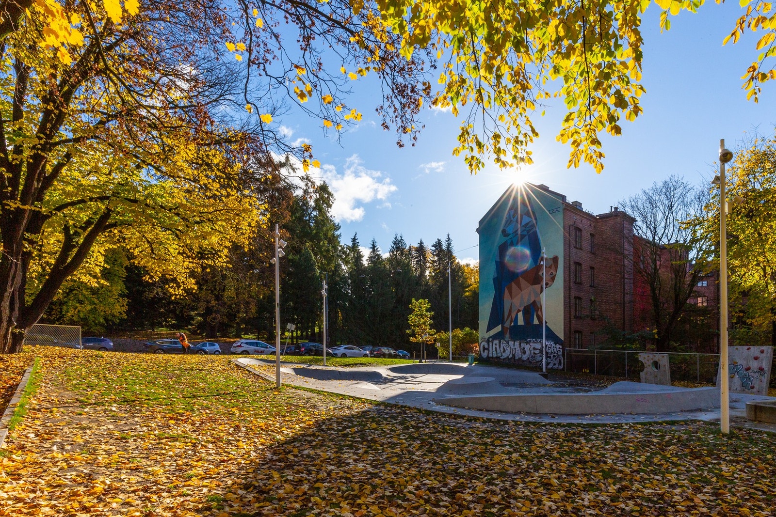 Nærområde. Galleribilde