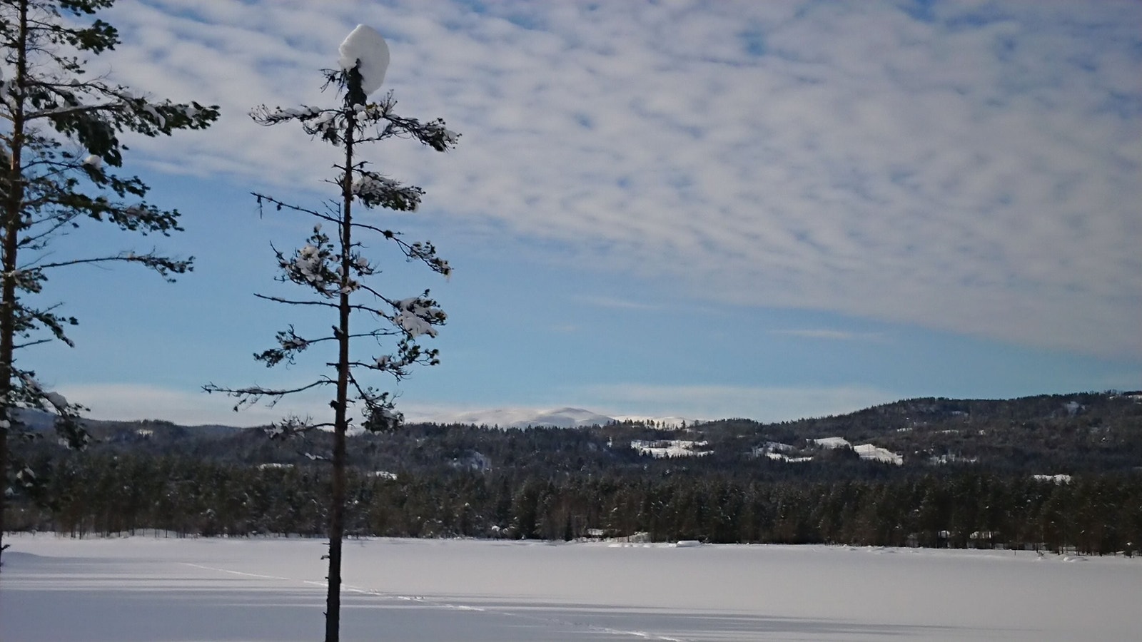 Vinter med utsikt mot Norefjell Galleribilde