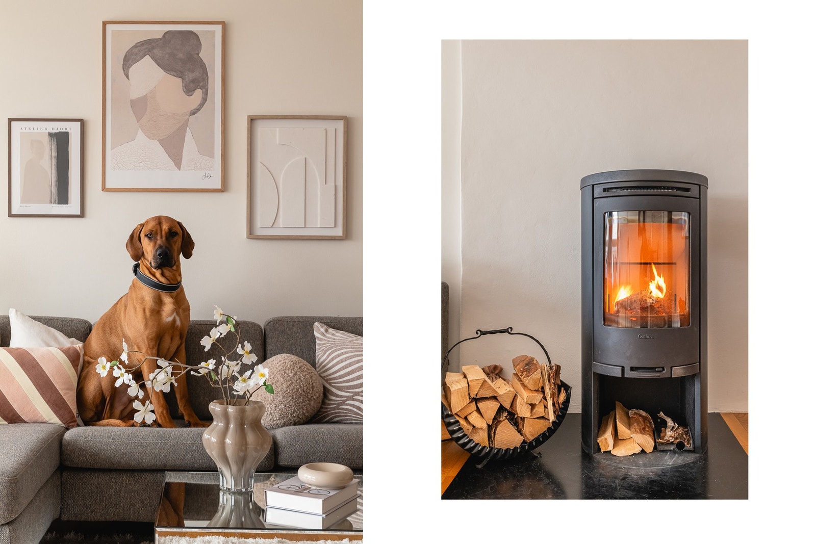 Ildsted til kalde vinterdager Galleribilde