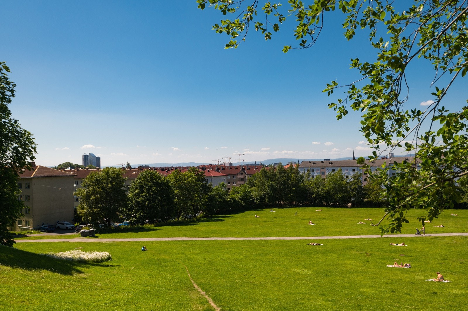 Nesten rett utenfor døren finner du idylliske Ola Narr som benyttes som akebakke, til soling, grilling eller annen lek og aktivitet. Galleribilde