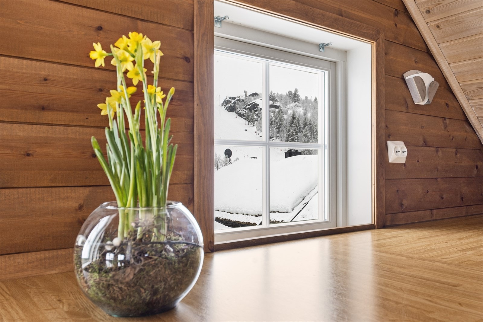 Her kan en holde øye med barna mens de står på ski, rett fra spisebordet ditt. Galleribilde