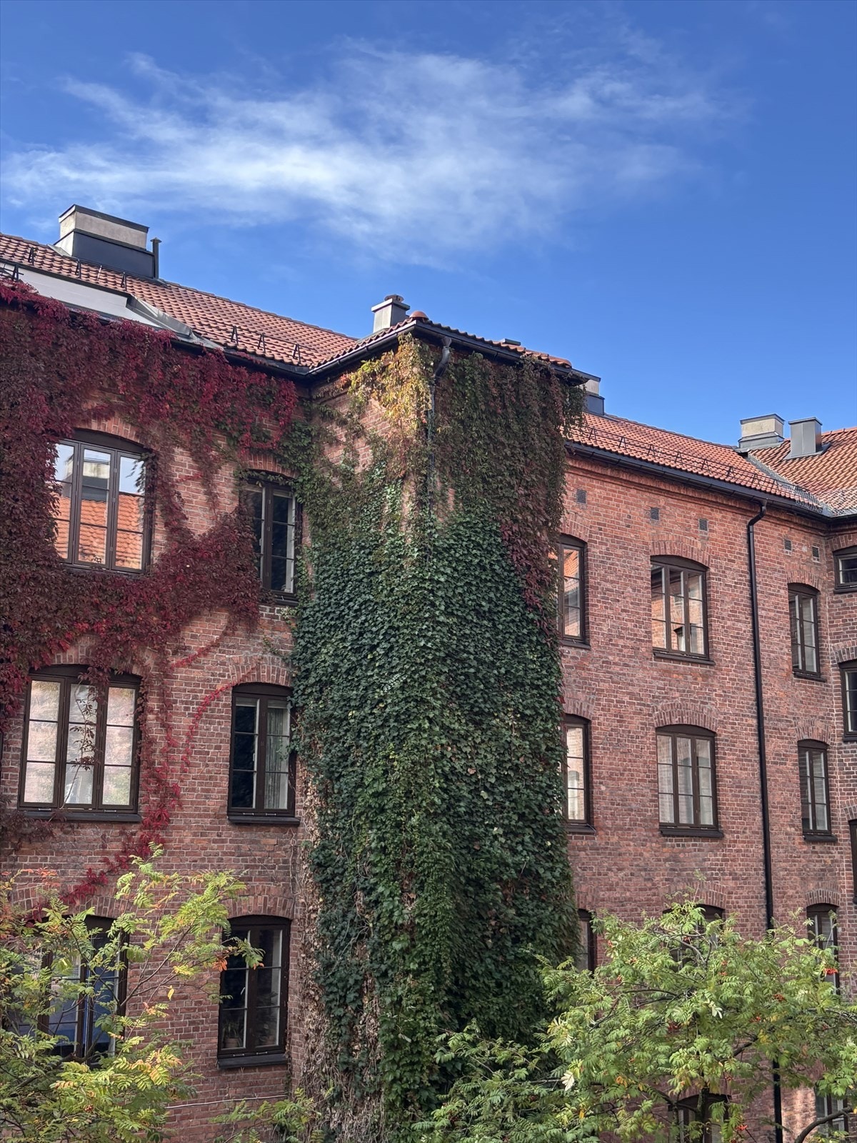 Selgers eget bilde av de fantastiske fargene i bakgården. Galleribilde