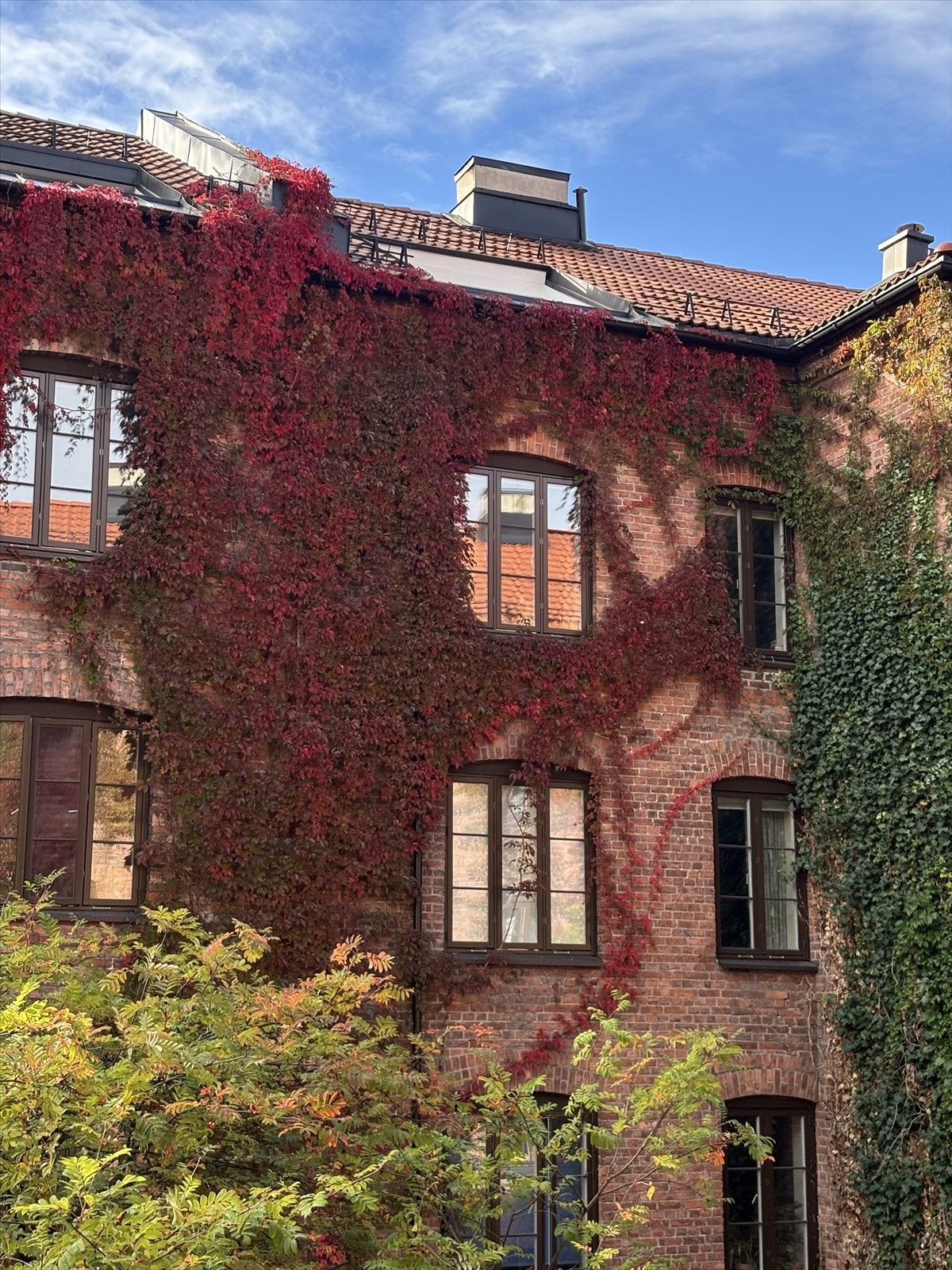 IMG_0202.jpeg Galleribilde