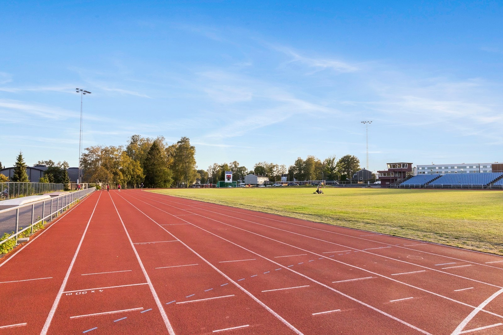 Nærområdet. Galleribilde