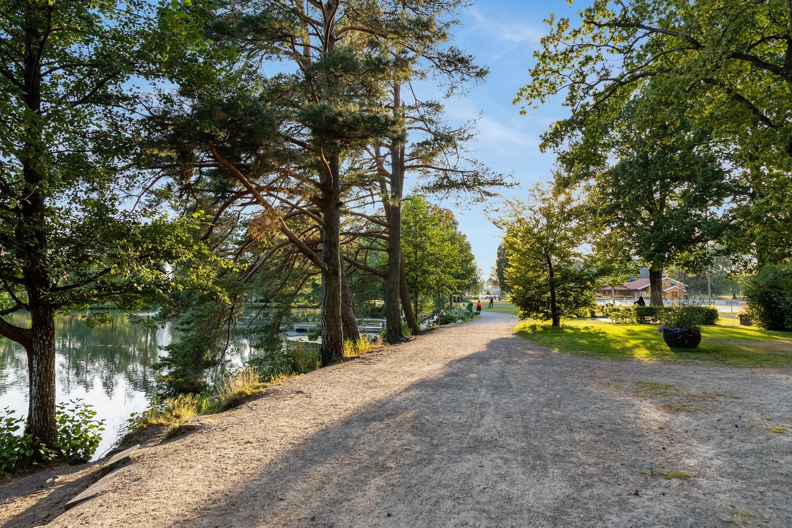 Nærområdet. Galleribilde