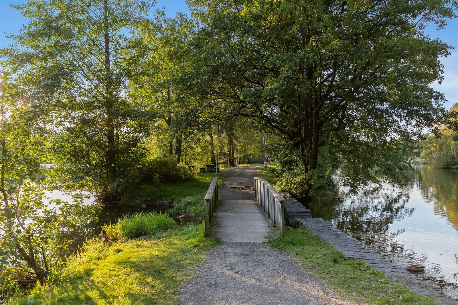 Nærområdet. Galleribilde