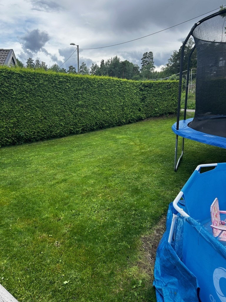 Her er det boltreplass for store og små! Galleribilde