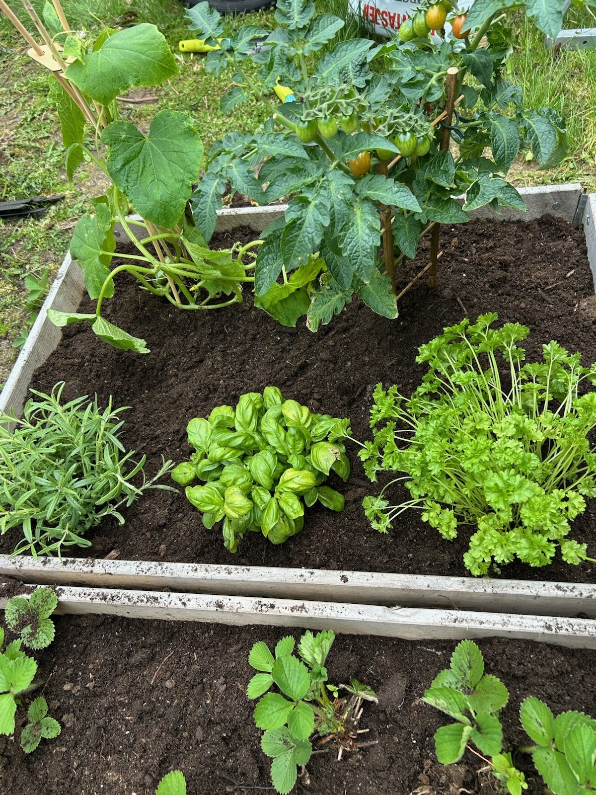 Hagen er opparbeidet med grønnsakskasser og frodige blomsterbed! Galleribilde