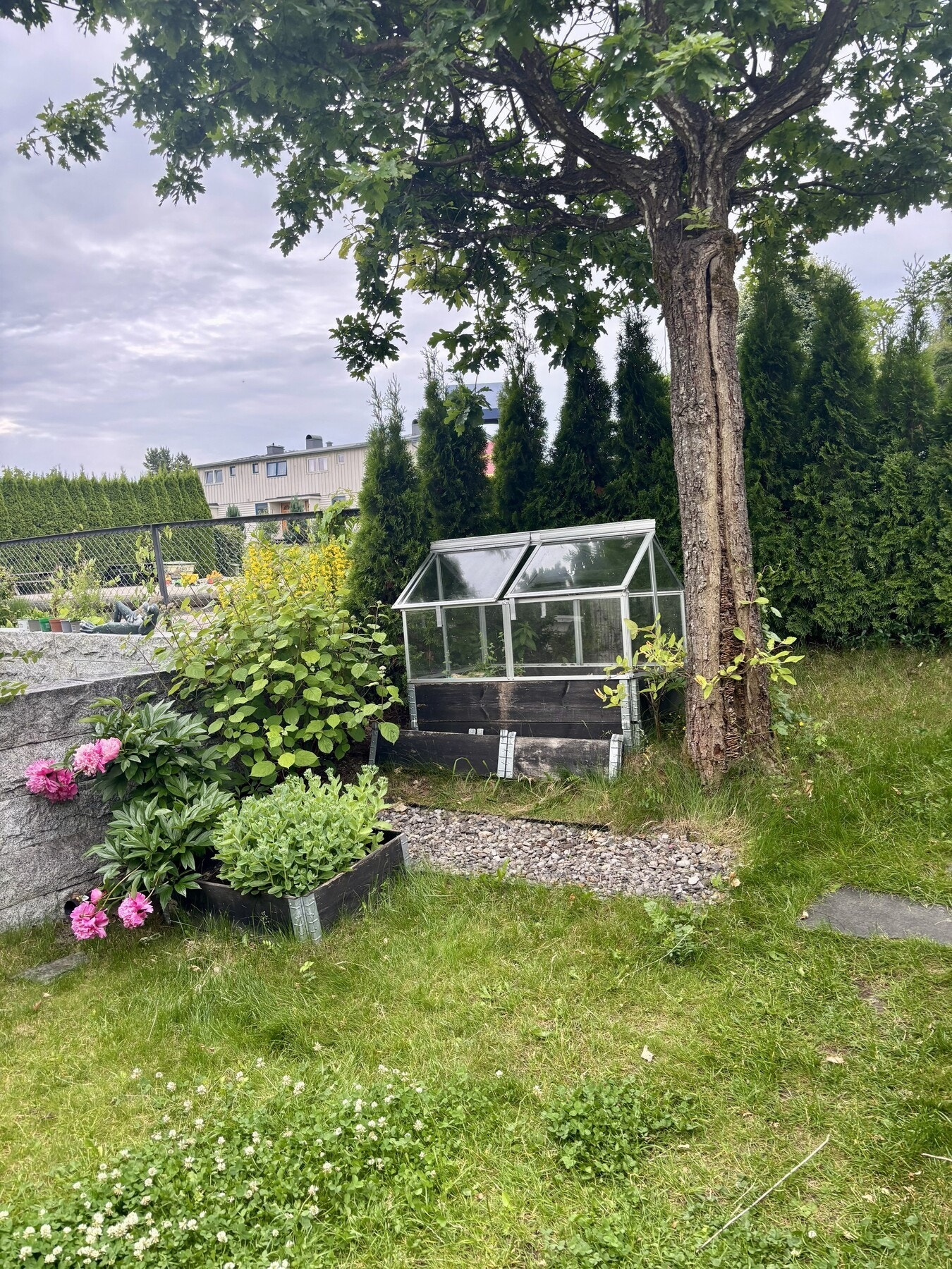 Selgers private foto. Galleribilde