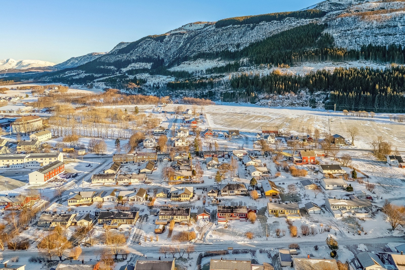 Ses på en hyggelig visning! Galleribilde