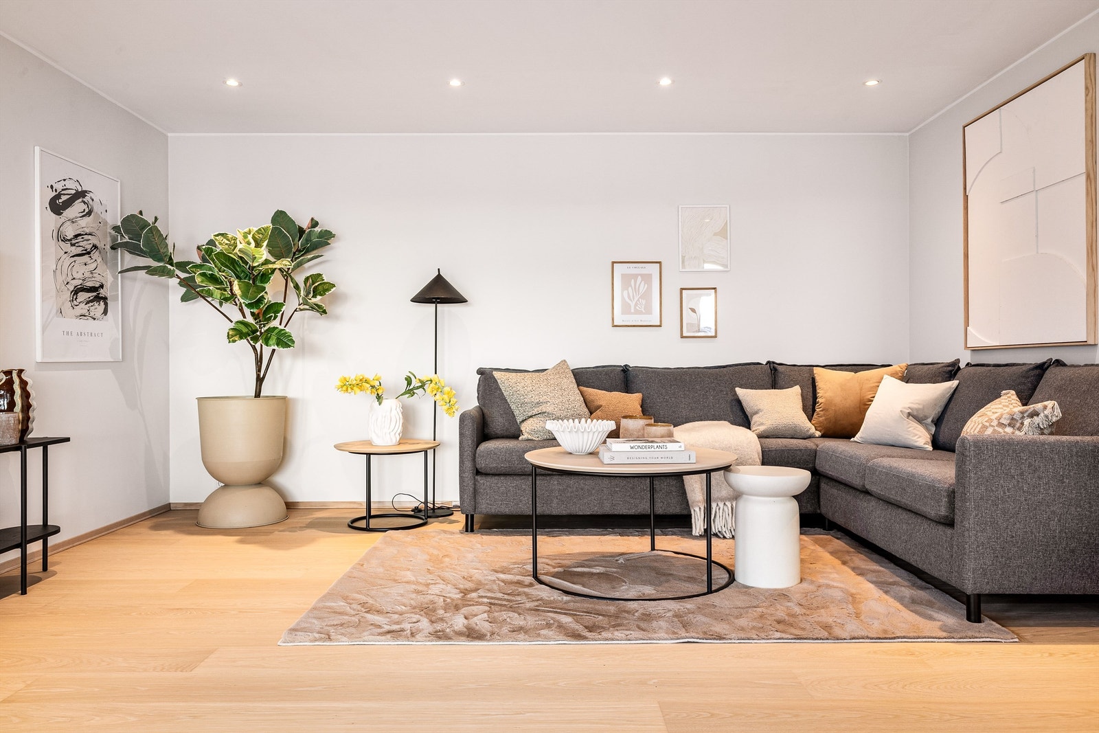 - Her flytter du rett inn! - Galleribilde