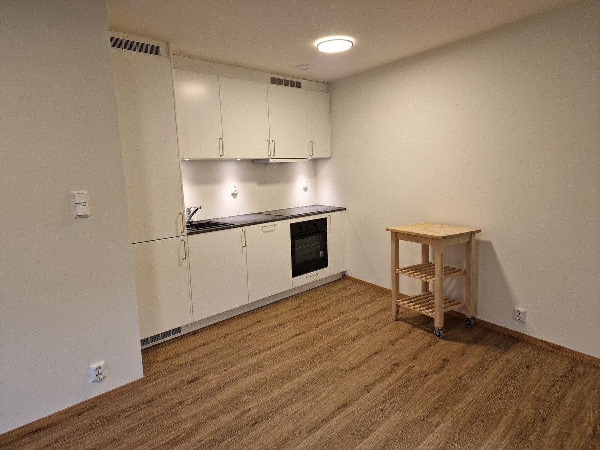 Kjøkken med kjøleskap/frys, oppvaskmaskin, ovn og kokeplate Galleribilde