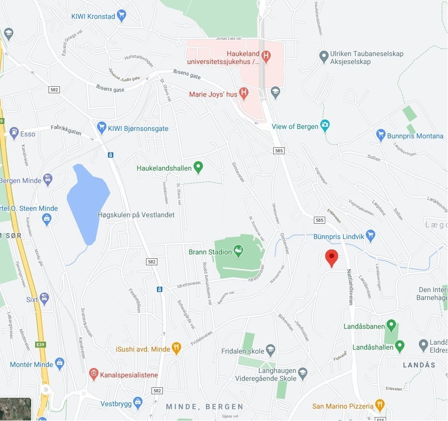 Kart over området. Kort vei til Høyskolen, Haukeland sykehus, Brann Stadion og mye mer Galleribilde