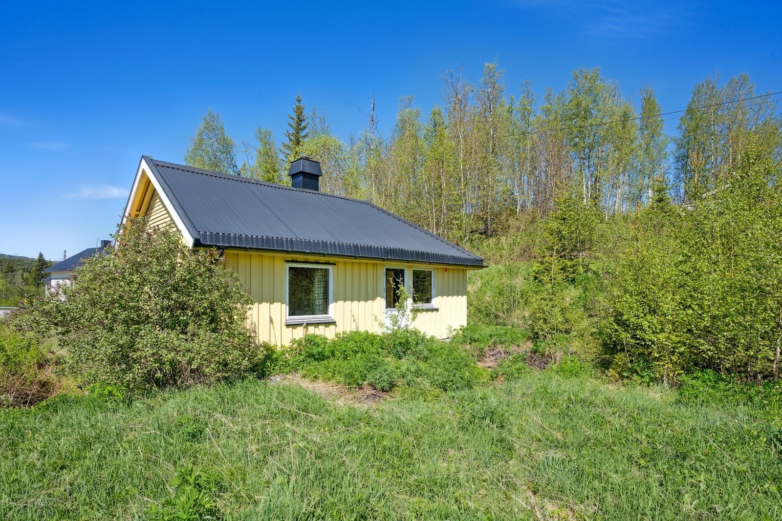 Flat og skrånende tomt som i hovedsak består av gress, trær og busker Galleribilde