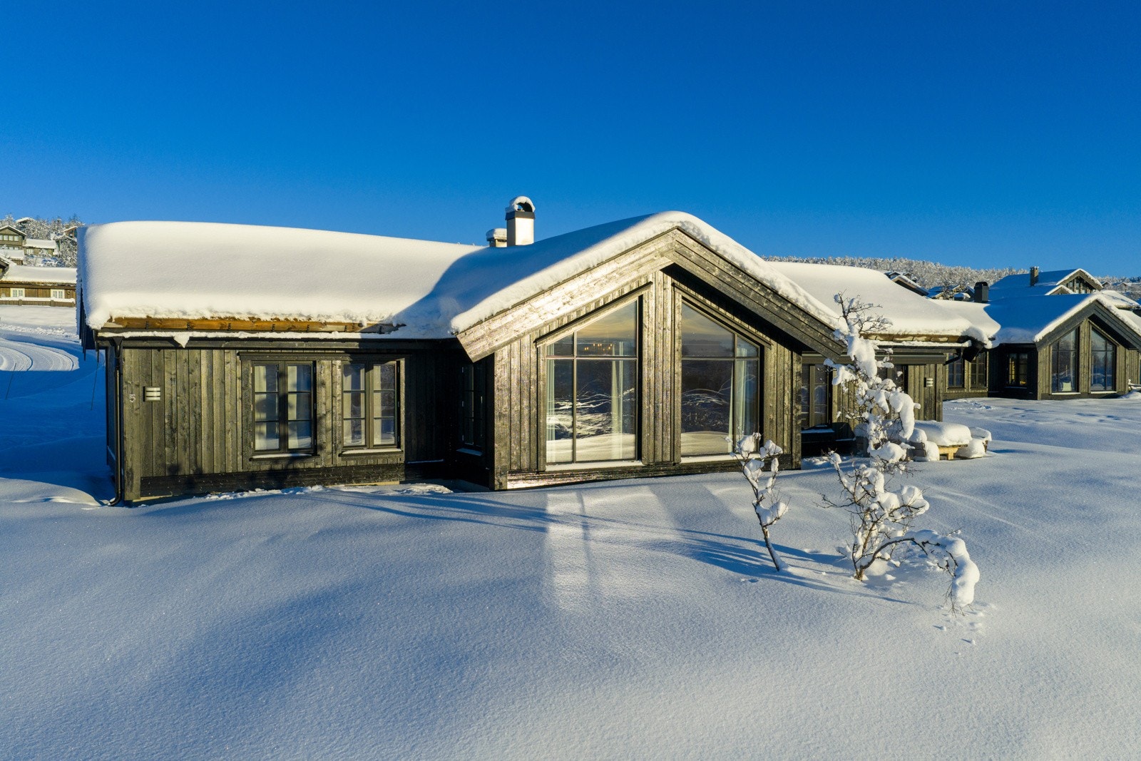 Velkommen til visning! Galleribilde