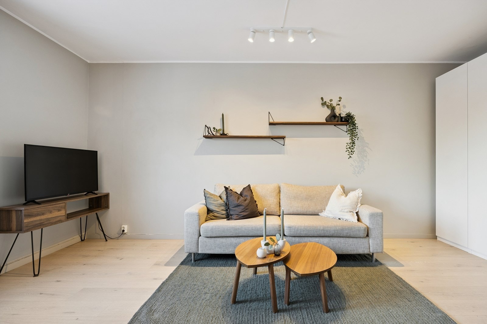 Her er det god plass til stor sofa, salongbord og alt du trenger av mediemøbler. Galleribilde