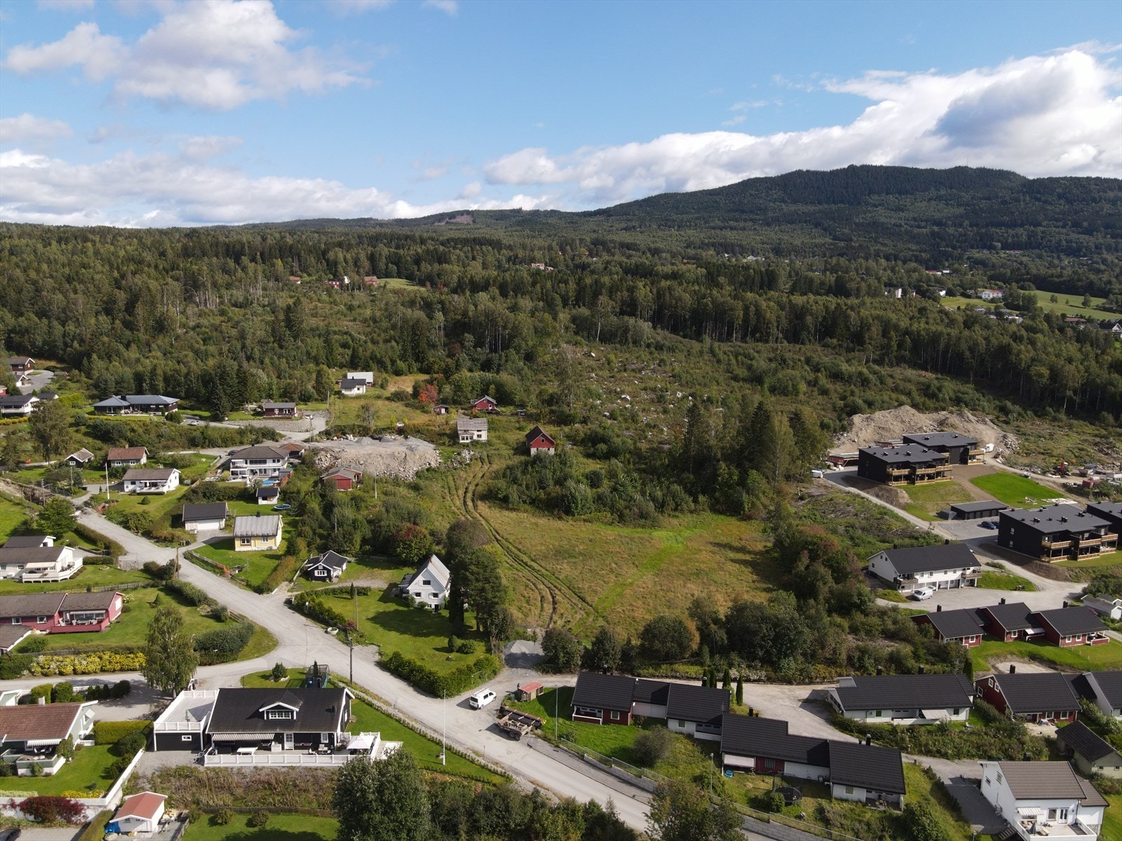 Tomtefeltet, sett fra vest Galleribilde