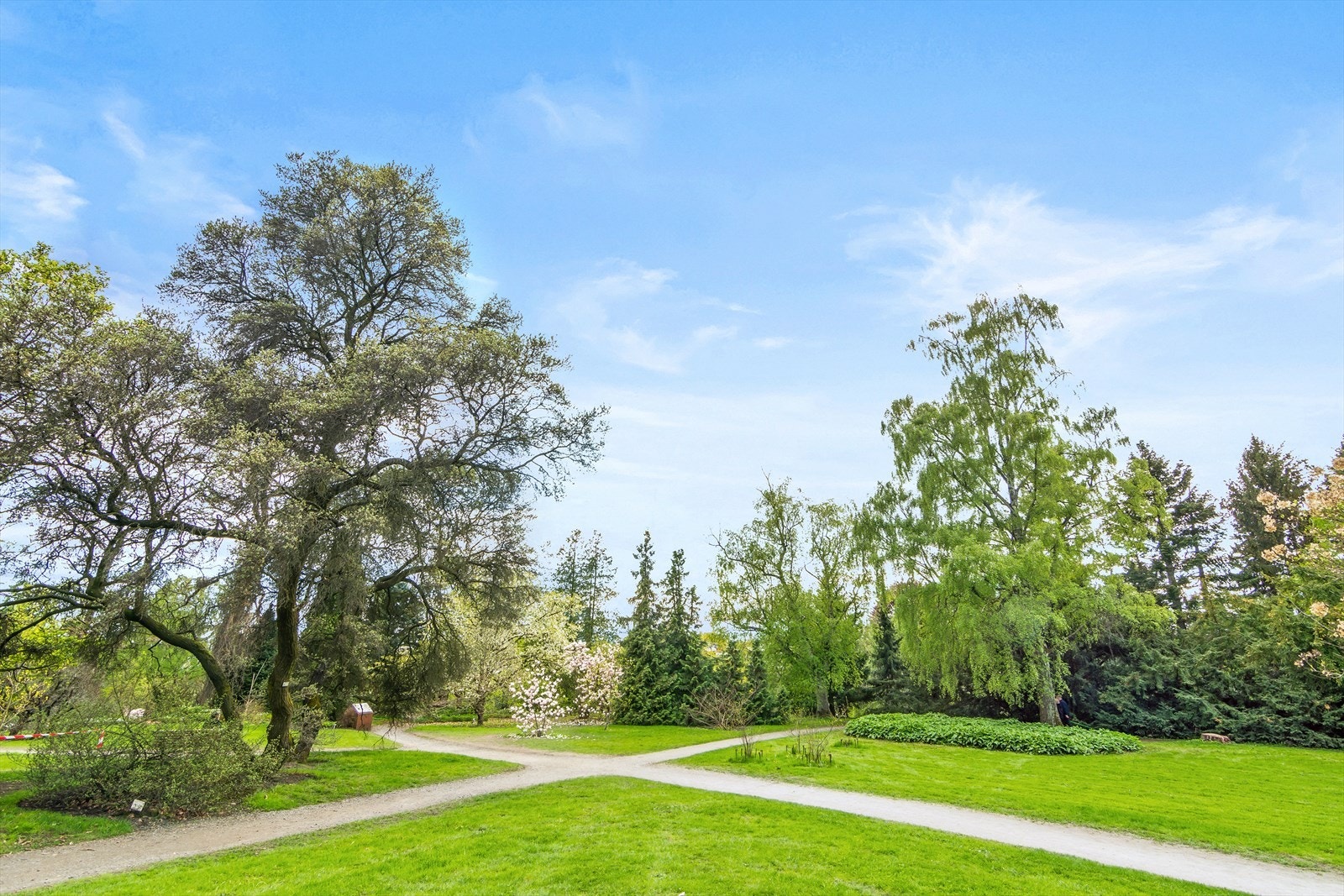 Botanisk hage. Galleribilde