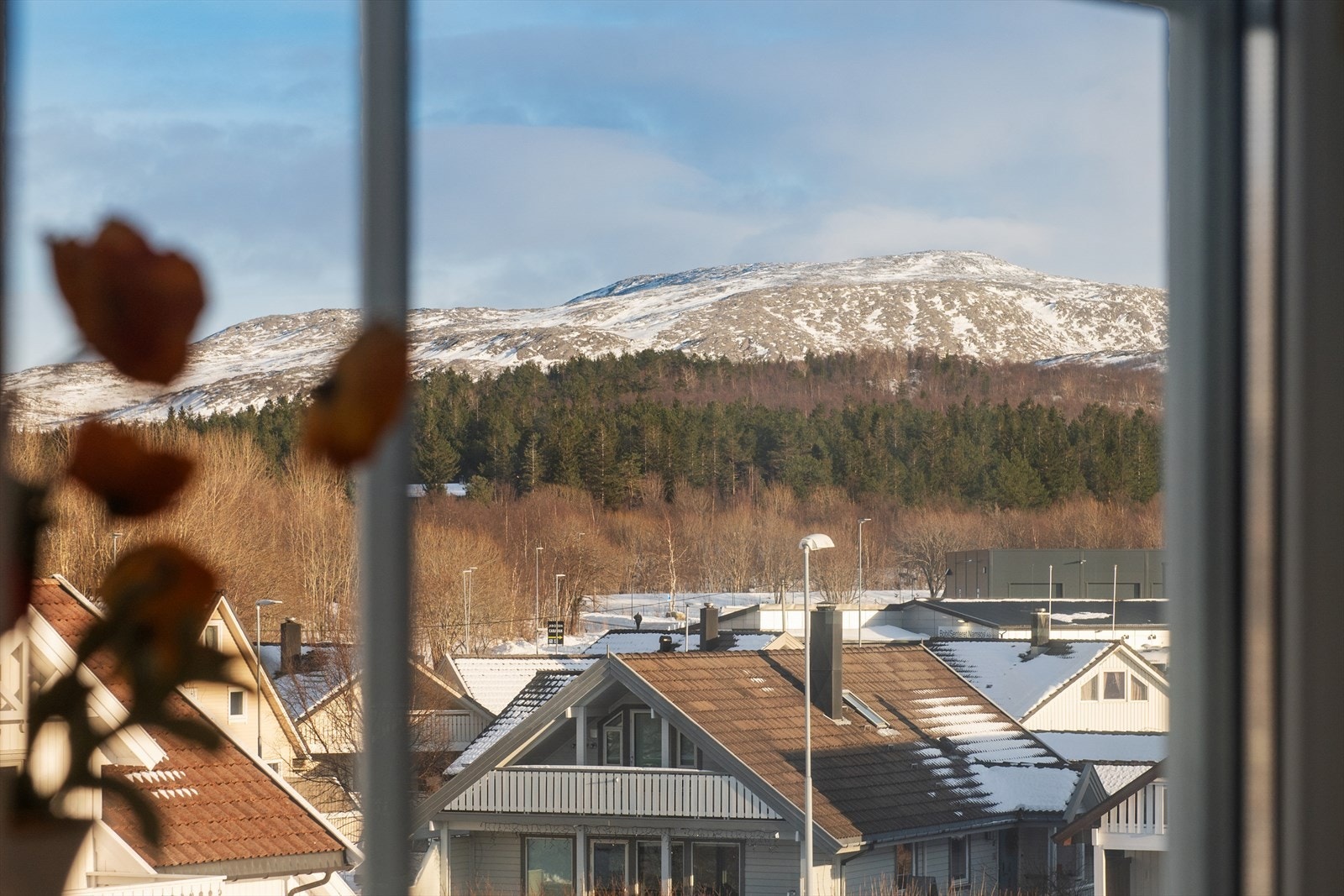 Utsikt fra kjøkkenvinduet. Galleribilde