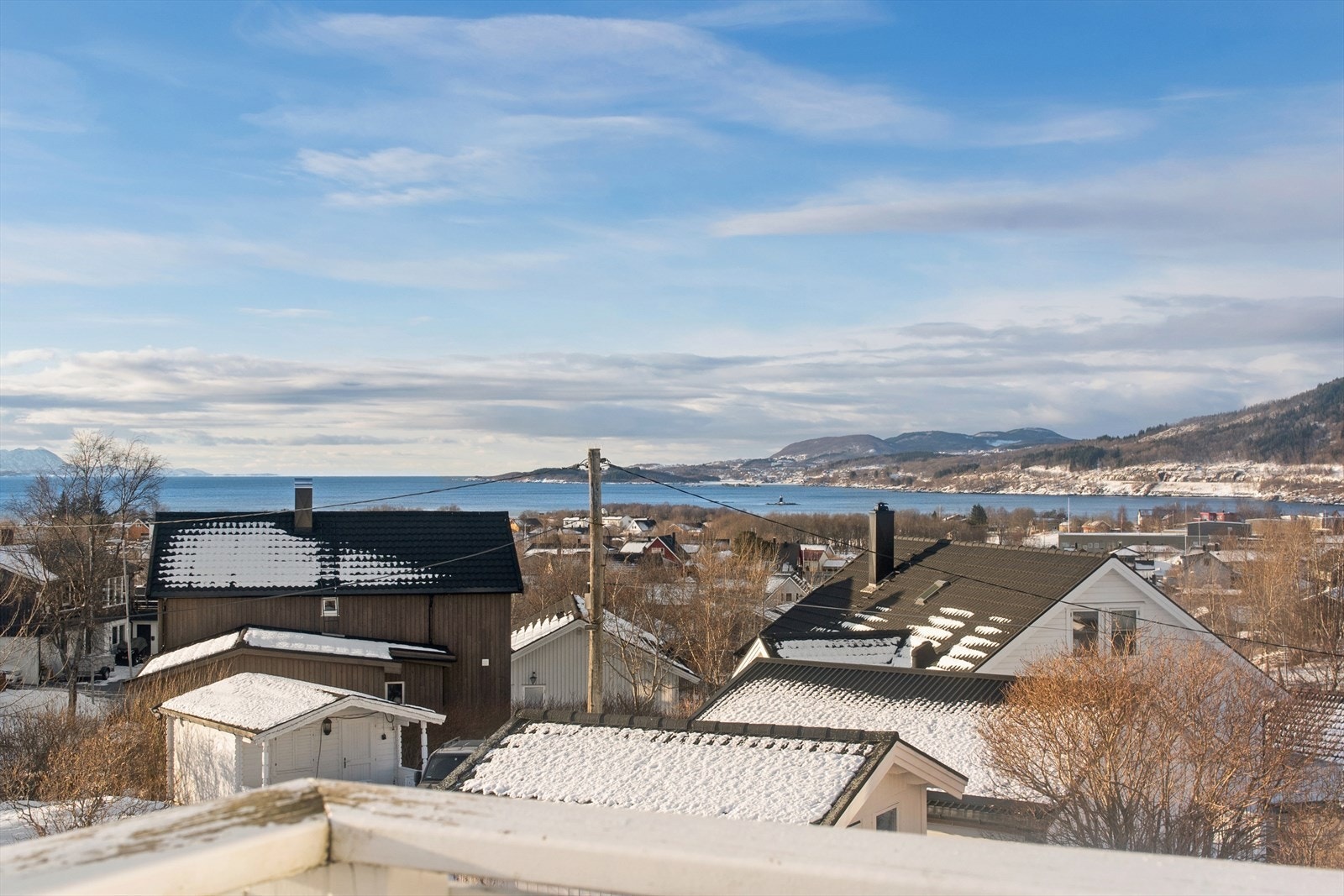 Her kan en virkelig finne roen. Galleribilde