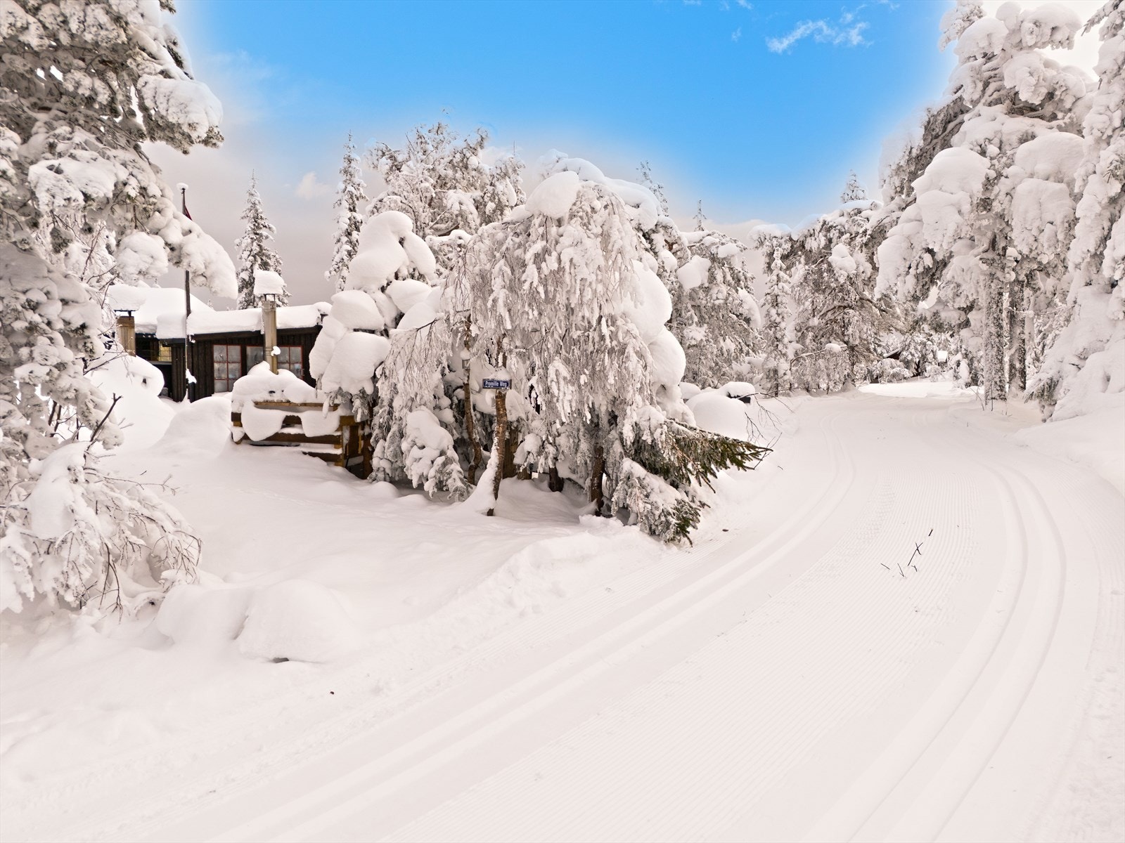 Skiløypene passerer rett forbi hytta på vestsiden Galleribilde