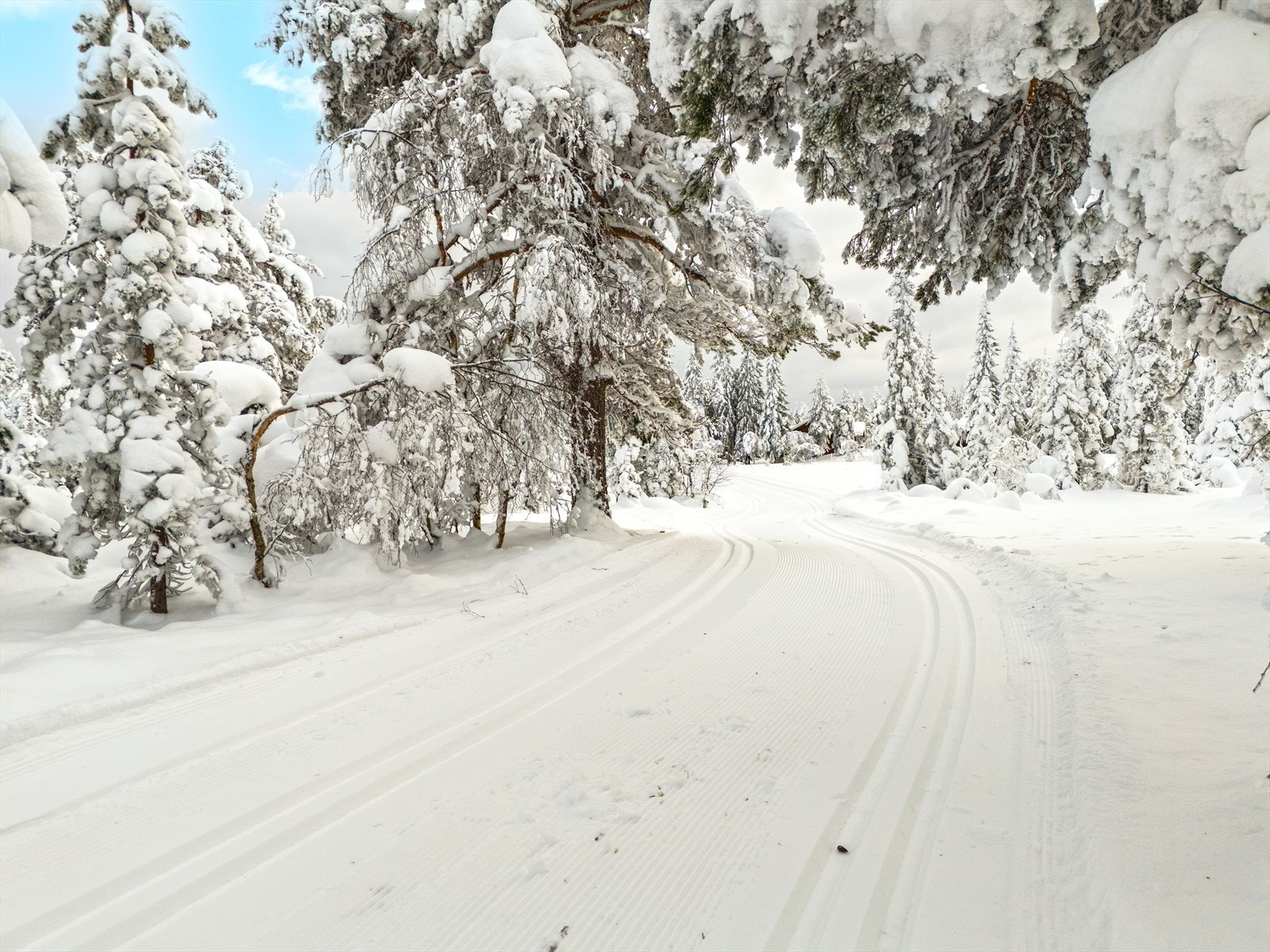 Skiløypene forbi hytta Galleribilde